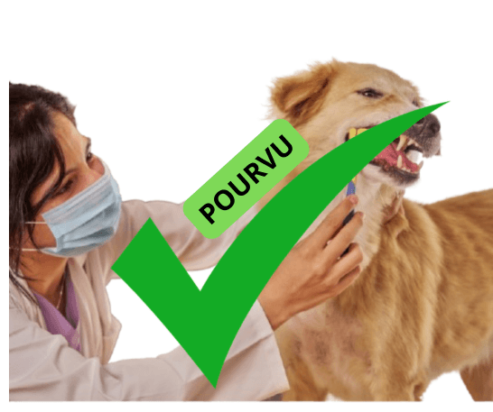 Soigneur animalier H/F – proche BOURGES
